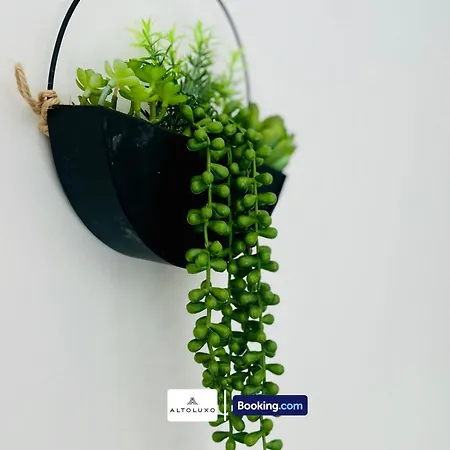 The Jungle Comfy & Spacious 3br By Altoluxo Short Lets & Serviced With Free Wifi & Parking Holiday home Bristol